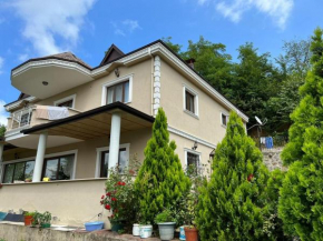 Kuvvet villa